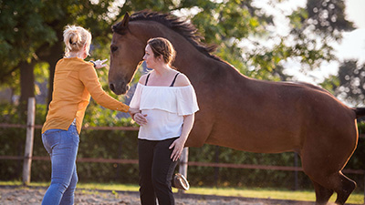 Coachen met paarden - Eleonore EQuus