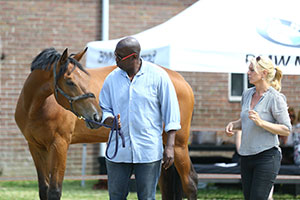 Coachen met paarden | Dorris Vlas