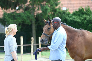 Coachen met paarden | Dorris Vlas