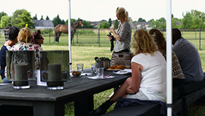 Coachen met paarden voor teambuilding - Eleonore EQuus